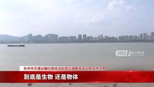 塘江水面疑似出现高速不明物：可能超5米凯发k8国际登录江西天降火球未头绪钱(图6)